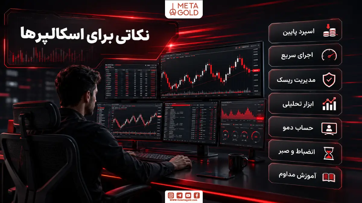  تصویر نکات مهمی که توی متن برای اسکالپرها گفته شده رو نشون میده