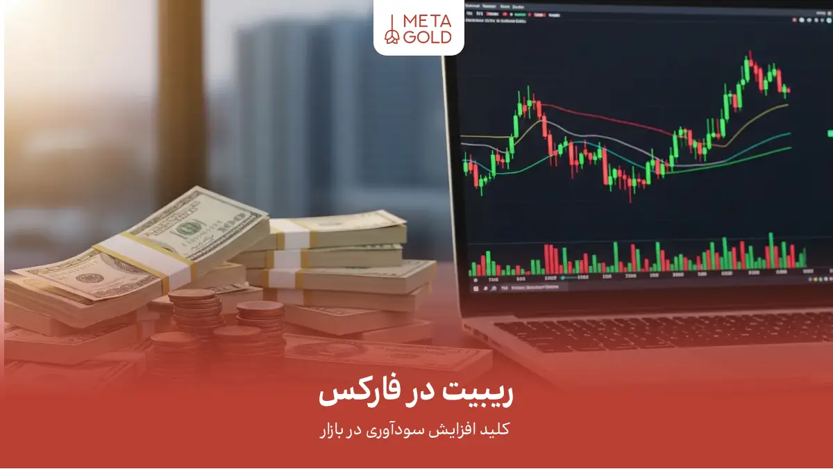 ریبیت در فارکس