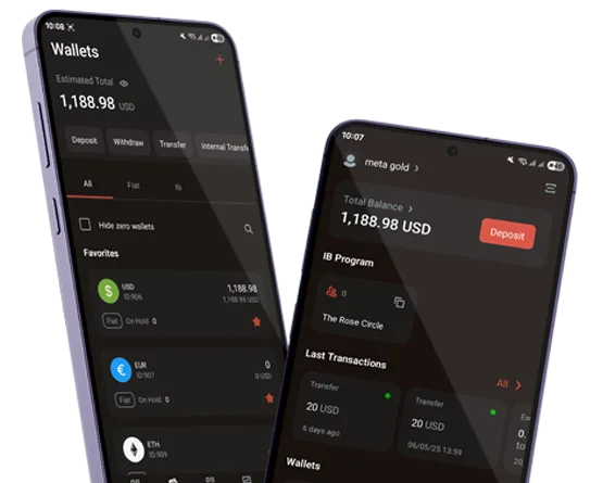 اپلیکیشن متاگلد