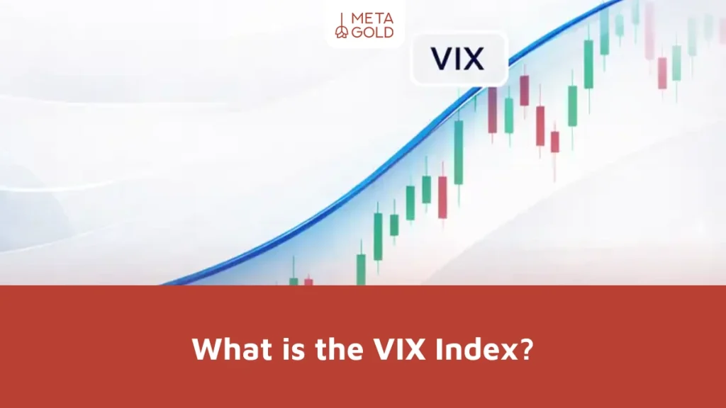 What is the VIX Index