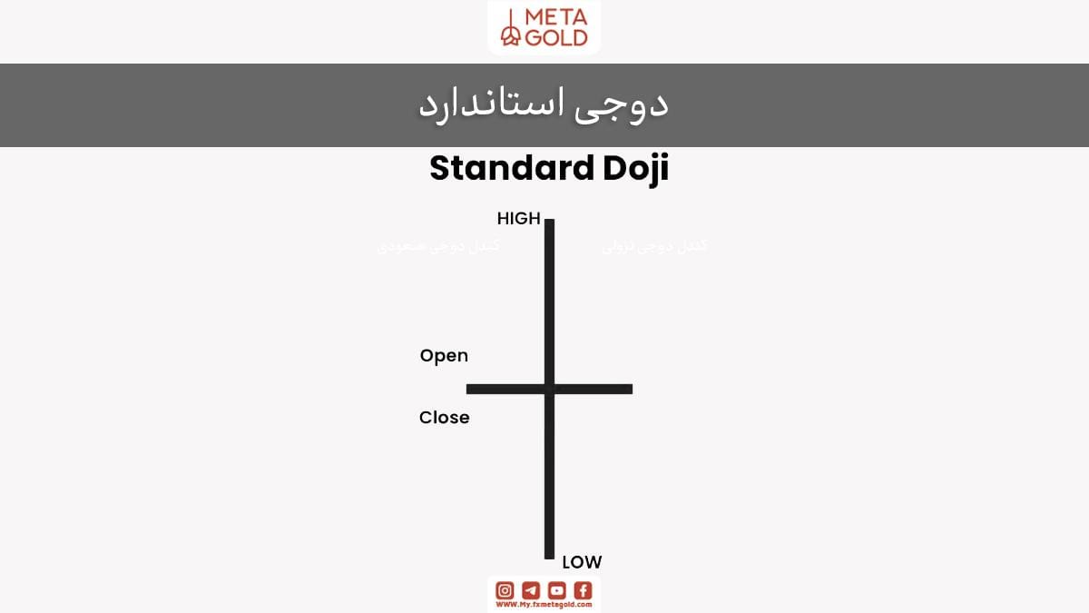 شکل دوجی استاندارد 