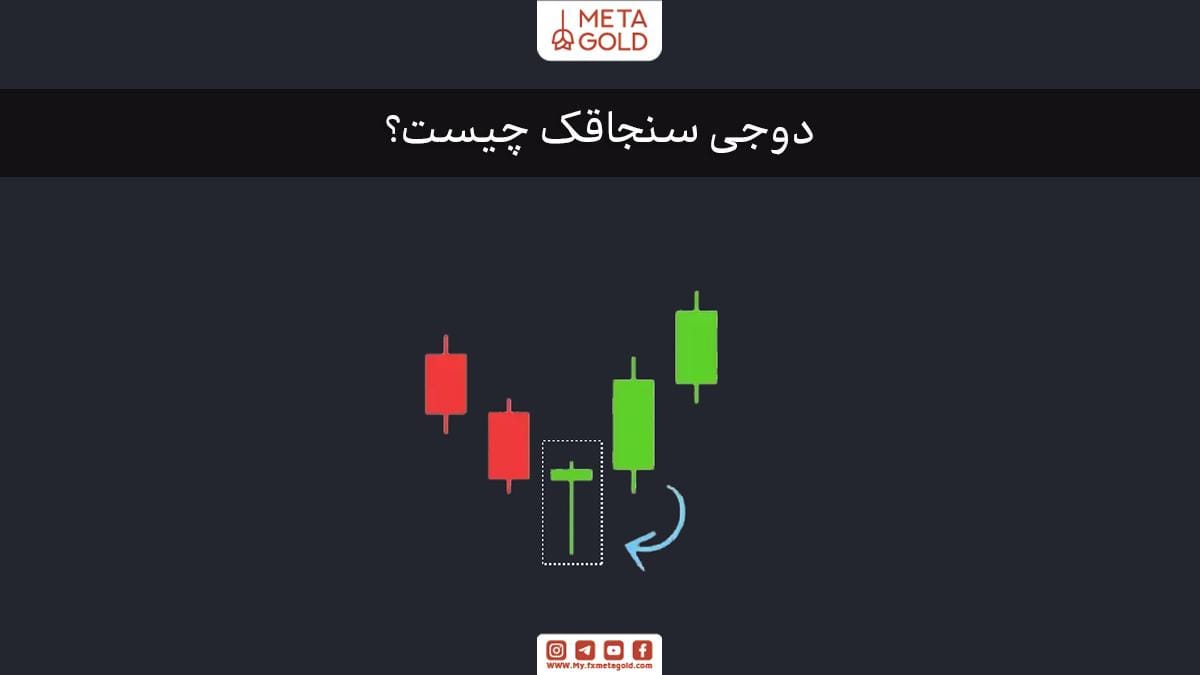 دوجی سنجاقک چیست؟