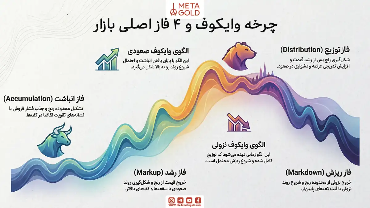 چرخه وایکوف چیست؟