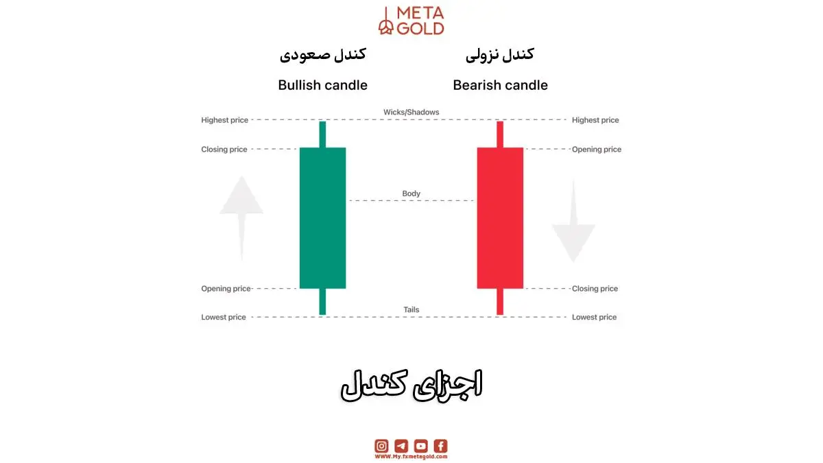 نمایش اجزای کندل صعودی و نزولی شامل بدنه، سایهها، قیمت باز شدن و بسته شدن.