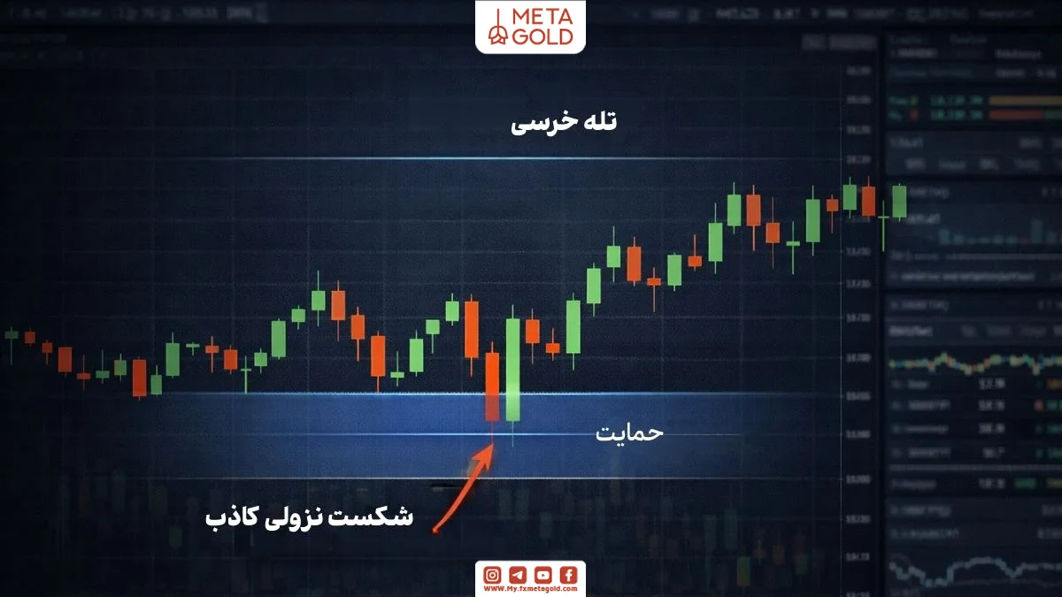 مثال تله خرسی با شکست کاذب حمایت در نمودار