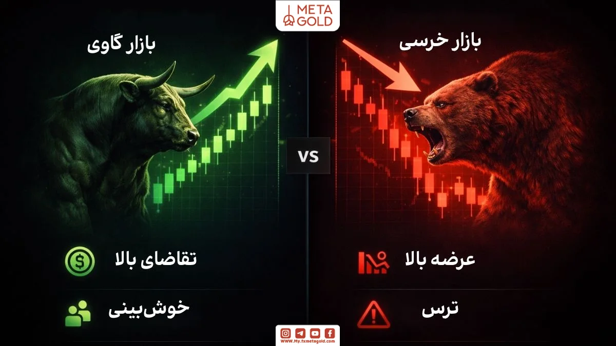 اینفوگرافی مقایسه بازار گاوی و خرسی از نظر عرضه تقاضا و روانشناسی بازار