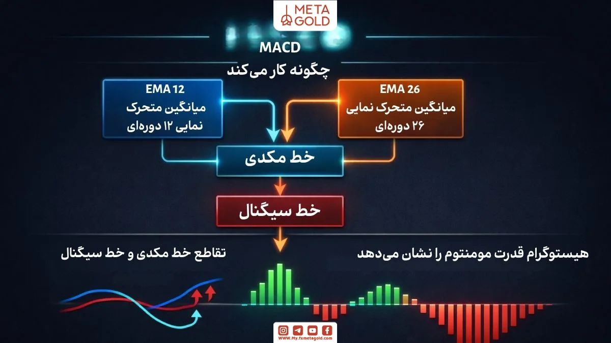 اینفوگرافی ساختار اندیکاتور MACD شامل خط سیگنال و هیستوگرام 