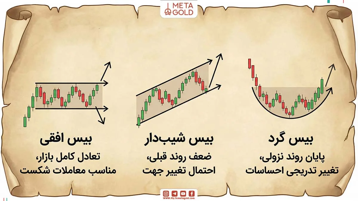 انواع بیس در فارکس