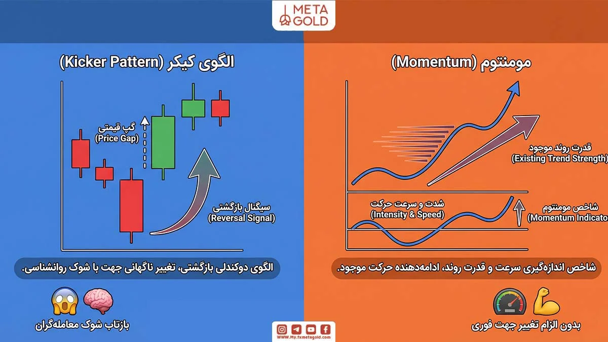 تفاوت کیکر با مومنتوم