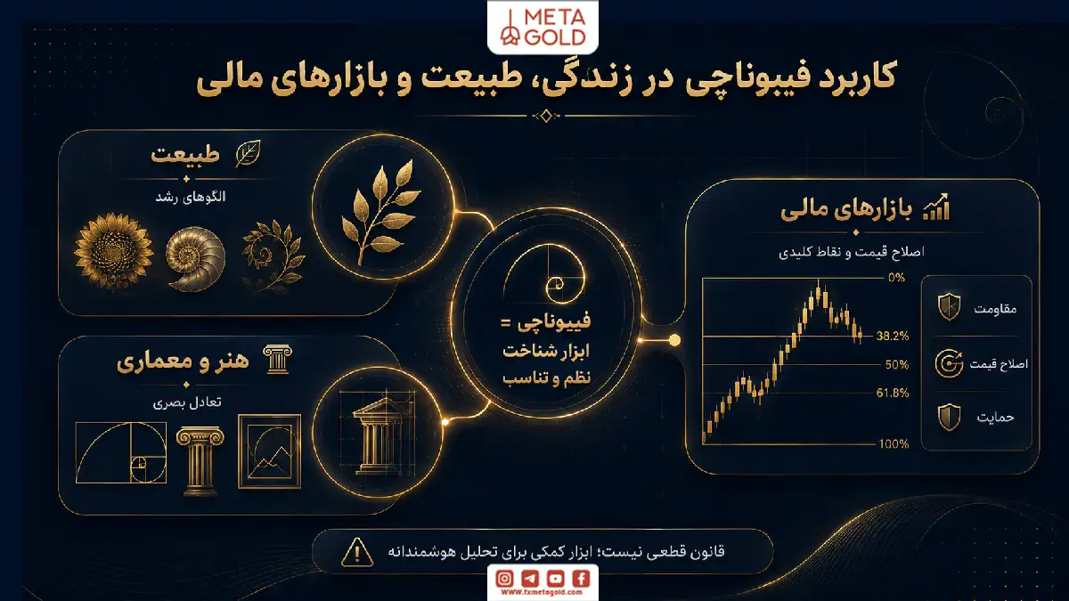 کاربرد فیبوناچی در زندگی، طبیعت و بازارهای مالی