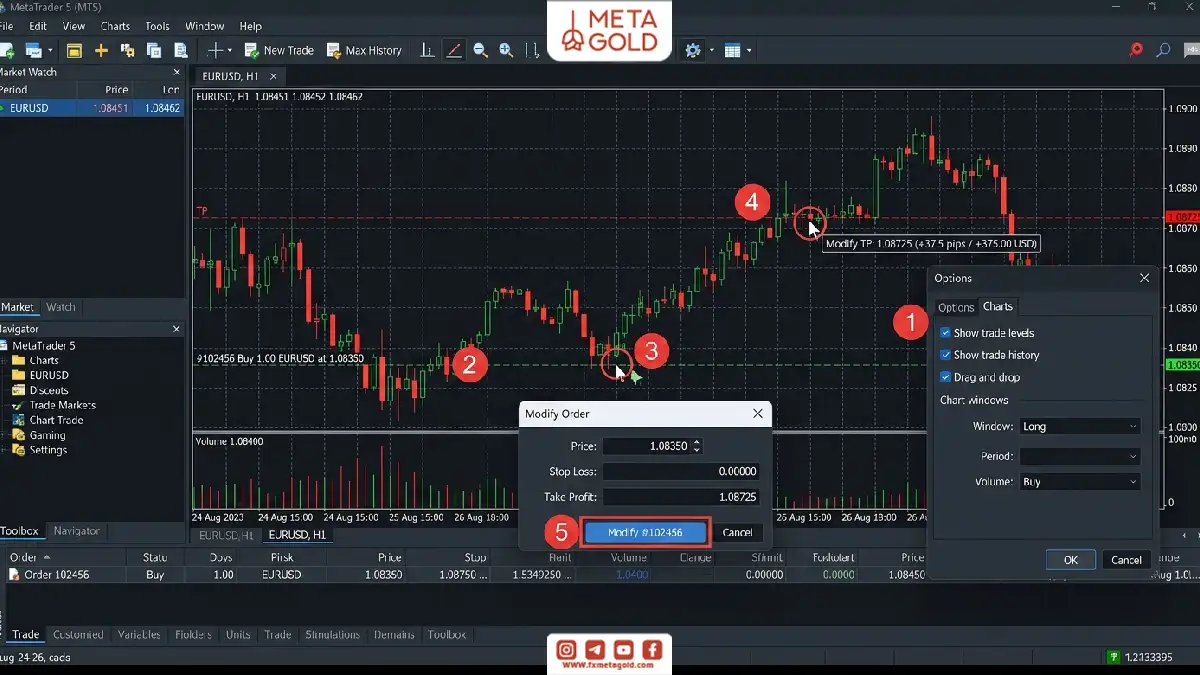 آموزش ویرایش حد سود در متاتریدر 5 با نمایش سطح TP روی نمودار و تغییر مقدار Take Profit از پنجره Modify Order.