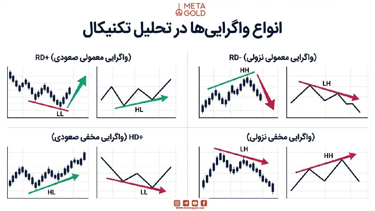 اینفوگرافیک آموزشی انواع واگرایی ها در تحلیل تکنیکال شامل واگرایی معمولی صعودی (+RD) و نزولی (-RD) و واگرایی مخفی صعودی (+HD) و نزولی (-HD) به همراه نحوه تشخیص روی نمودار قیمت و اندیکاتور.