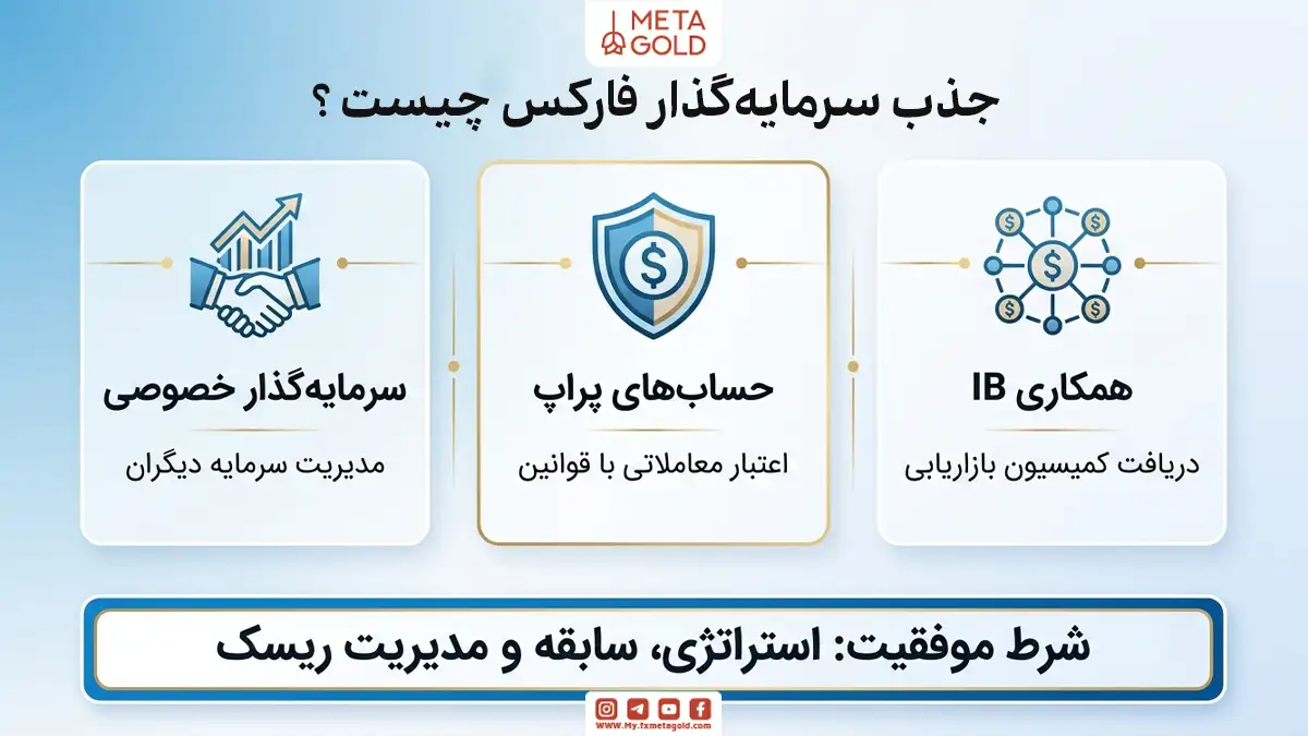 «اینفوگرافیک روشهای جذب سرمایهگذار فارکس در متاگلد؛ معرفی سه مدل اصلی شامل سرمایهگذاری خصوصی، حسابهای پراپ و همکاری آیبی به همراه نکات کلیدی برای موفقیت و مدیریت ریسک.