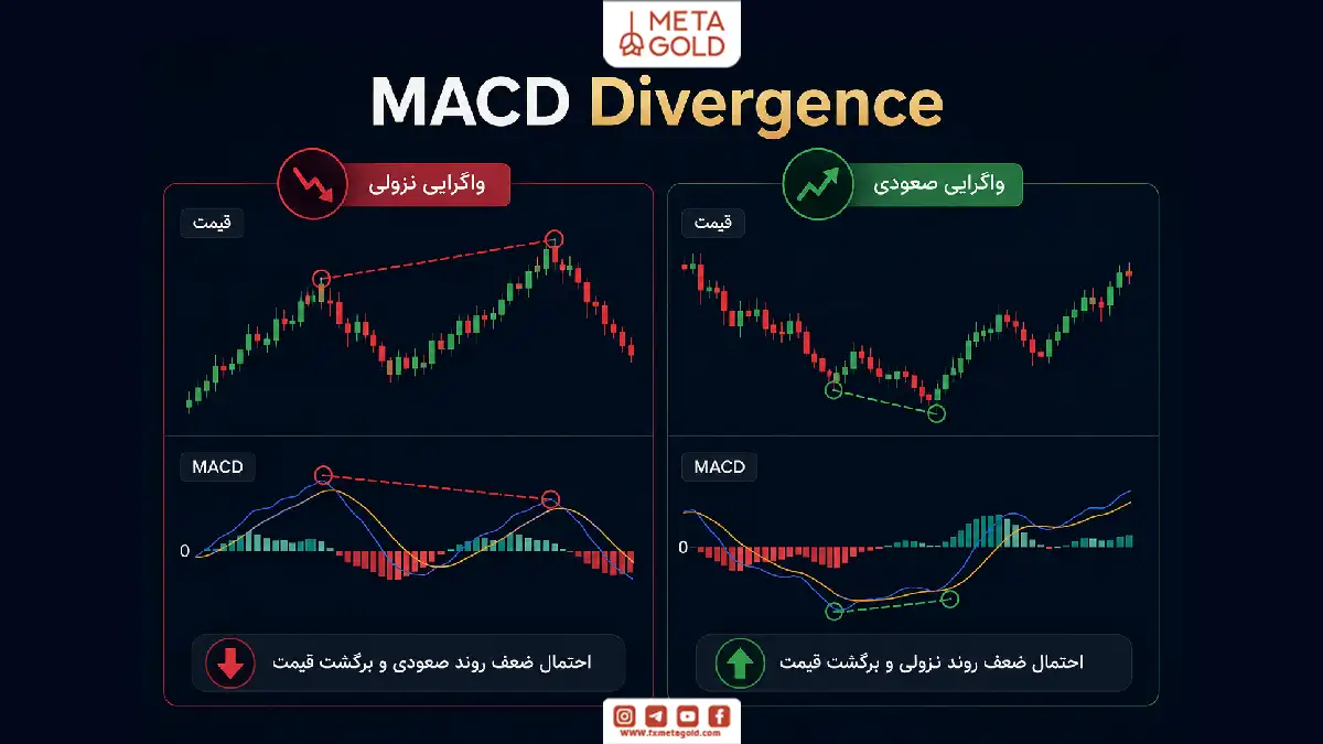 اینفوگرافیک MACD Divergence با نمایش واگرایی صعودی و نزولی مکدی برای تشخیص ضعف روند و احتمال تغییر جهت بازار.