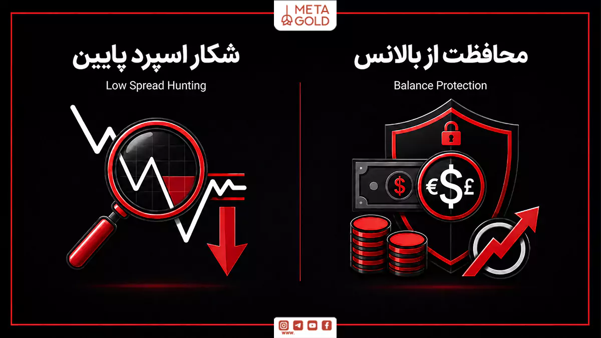 اینفوگرافیک مقایسه مزایا و معایب حساب استاندارد فارکس برای معاملهگران